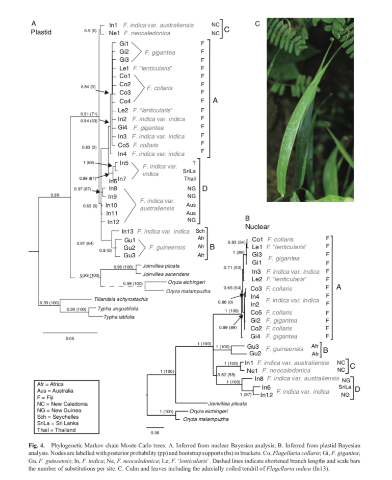 Screen Shot 2020-06-26 at 10.15.50