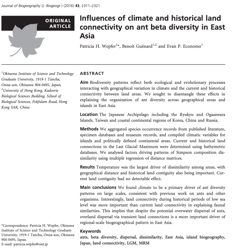 Screen Shot 2020-06-28 at 12.56.00