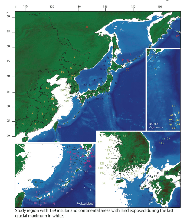 Screen Shot 2020-06-28 at 12.56.34