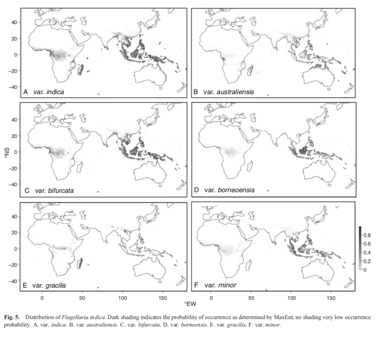 Screen Shot 2020-06-28 at 22.00.29